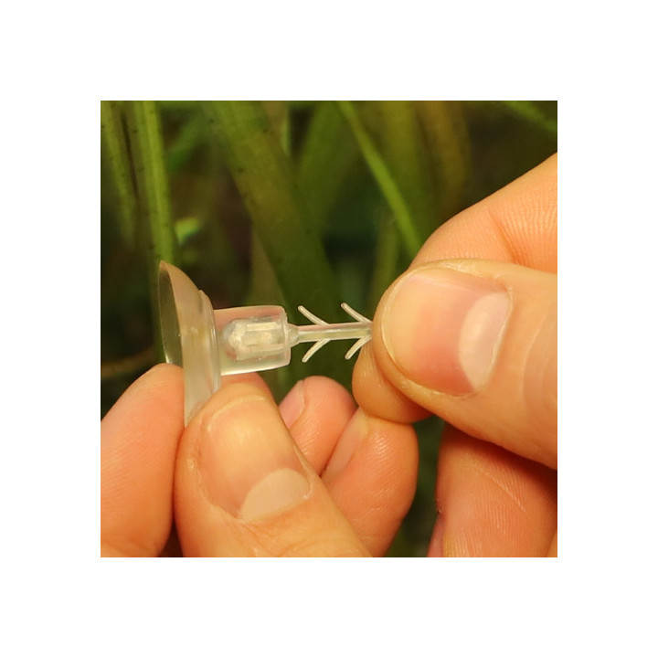 Gel-o-Drops Holder , Terraario- ja akvaariotarvike