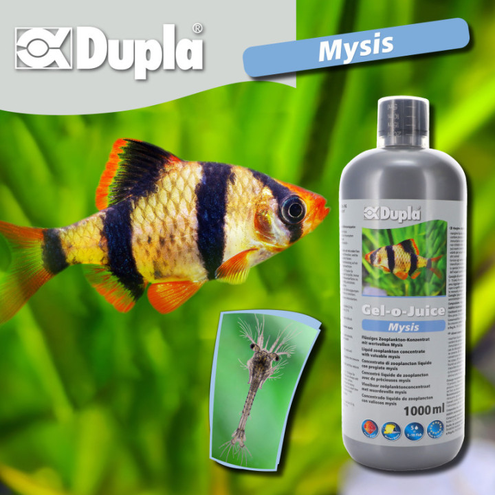 Gel-o-Juice Mysis 1.000 ml , Terraario- ja akvaariotarvike