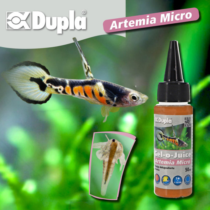 Gel-o-Juice Artemia Micro , Terraario- ja akvaariotarvike