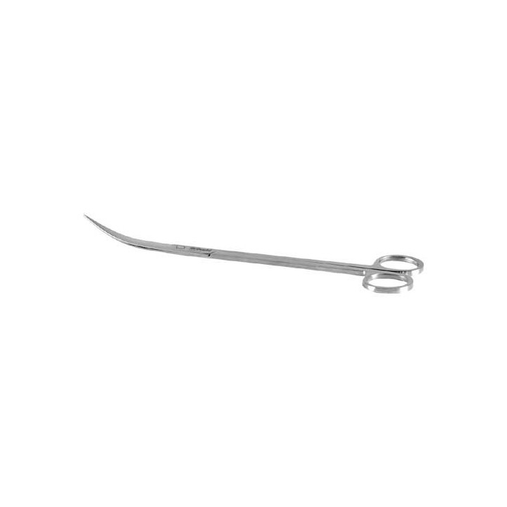 Scaping Tool Stainless Steel Scissor , Terraario- ja akvaariotarvike