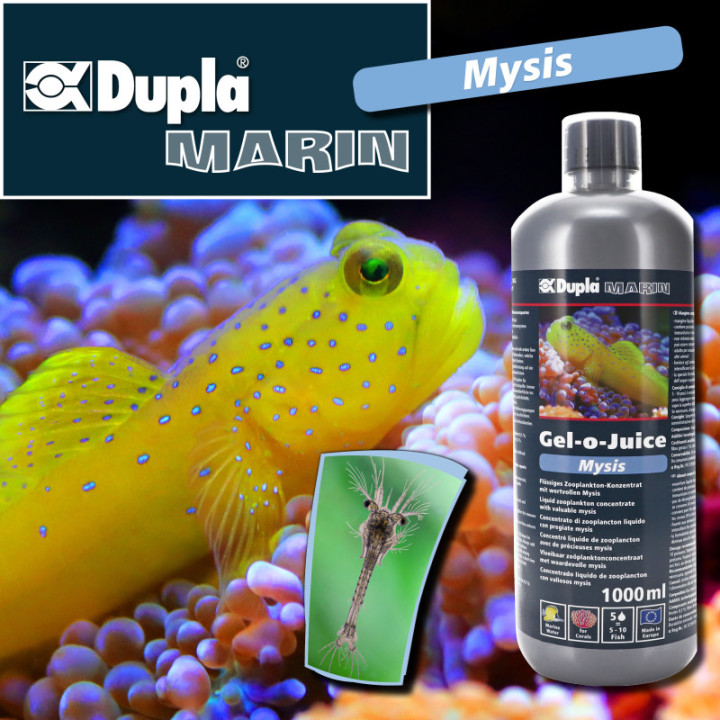 DuplaMarin Gel-o-Juice Mysis 1.000 ml , Terraario- ja akvaariotarvike