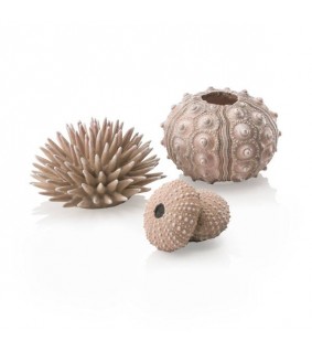 Oase biOrb sea urchins set natural akvaariokoriste merisiili