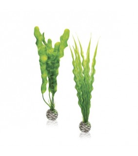 Oase biOrb Easy plant set M green akvaariokoriste tekokasvi