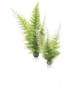 Oase biOrb Aquatic winter fern set 2
