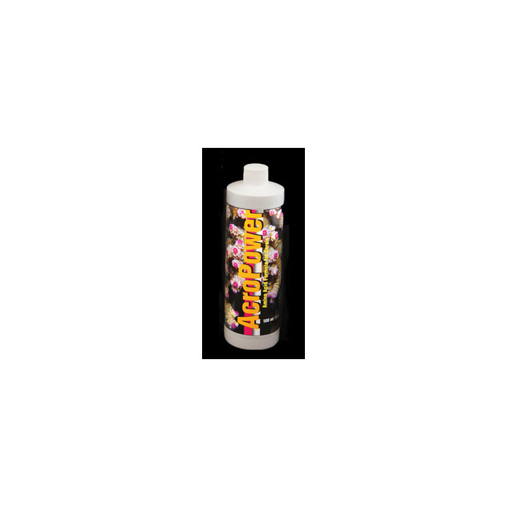 Two little fishies AlgaEraser: replacement plastic blades set of 2 - Two Little Fishes