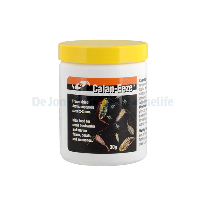 Two little fishies CorAffix-Pro Cyanoacrylate Adhesive Gel - 295ml - Two Little Fishes