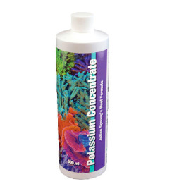 Two little fishies Reactor 150 O-Ring (1 per pack) - Two Little Fishes