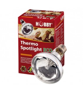 Hobby Thermo Spotlight ECO 42W