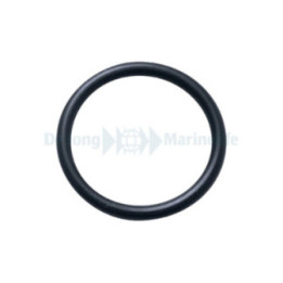 NYOS Filter Sponge for lid 100 G2 - Nyos