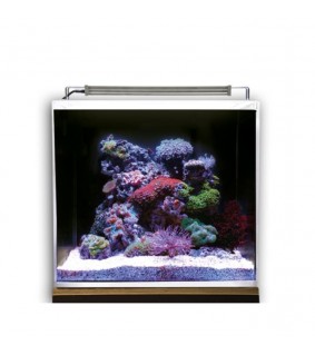 Dupla Nano Ocean Cube 80 Set 45 x 45 x 40 cm, 81 l