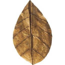 ARKA Catappa Leaves M 16,5-20cm - ARKA