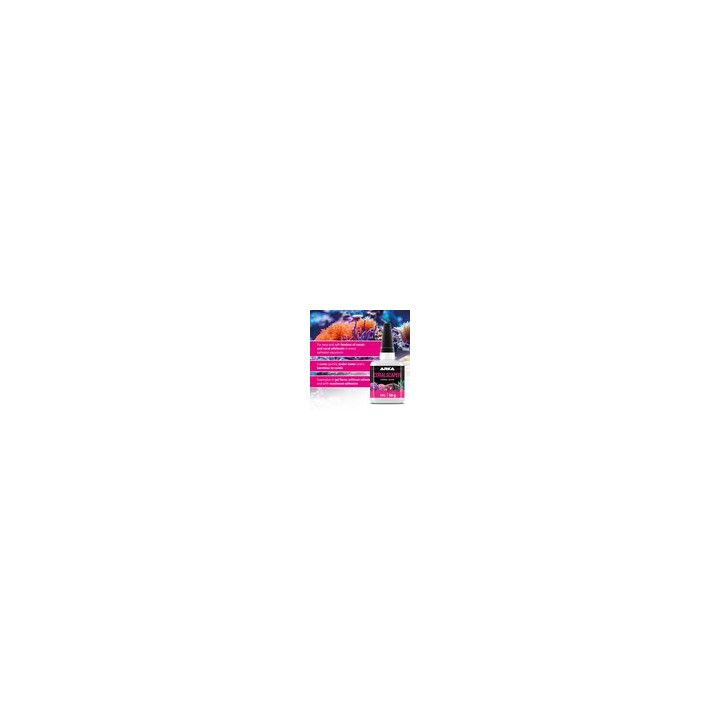ARKA Coralscaper Gel - Super Glue - ARKA