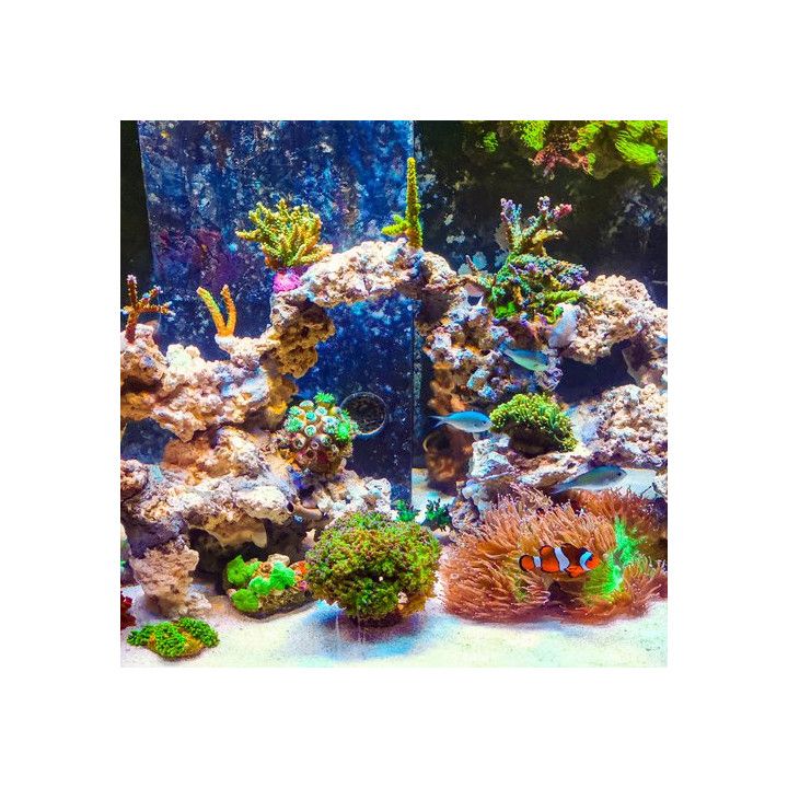 ARKA myReef-Rocks natural aragonite rocks 25-40 cm, 20 kg - ARKA