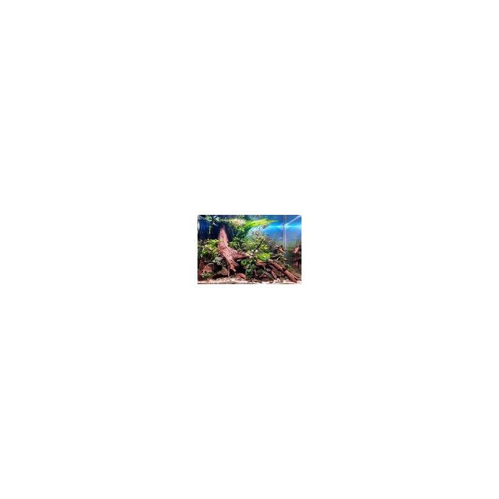 ARKA myScape-Rocks Seiryu mini landscape approx. 10-30 cm, by kg - ARKA