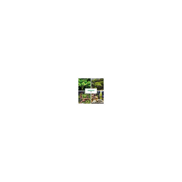 ARKA Plantscaper Gel - Super Glue (2 x 3 g) - ARKA