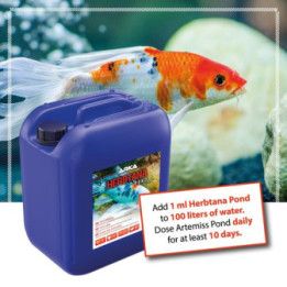 ARKA POND Herbtana - Herbal Based Fish Care - ARKA