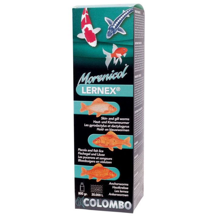 COLOMBO LERNEX D * - Colombo