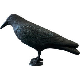 SUPERFISH BIRD CROW - SuperFish