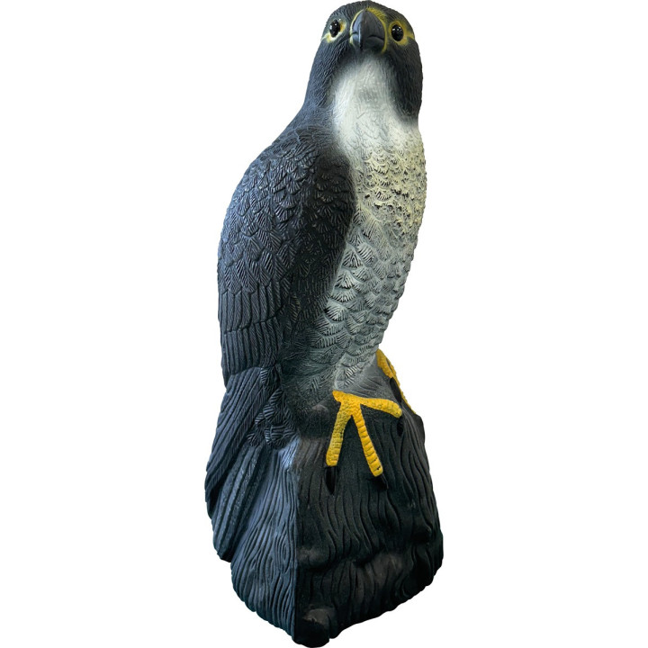 SUPERFISH BIRD FALCON - SuperFish