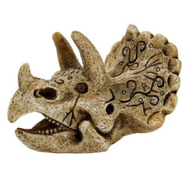 SUPERFISH SKULL TRICERATOPS S - SuperFish