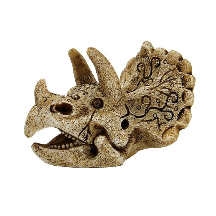 SUPERFISH SKULL TRICERATOPS S - SuperFish