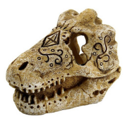 SUPERFISH SKULL T REX S - SuperFish