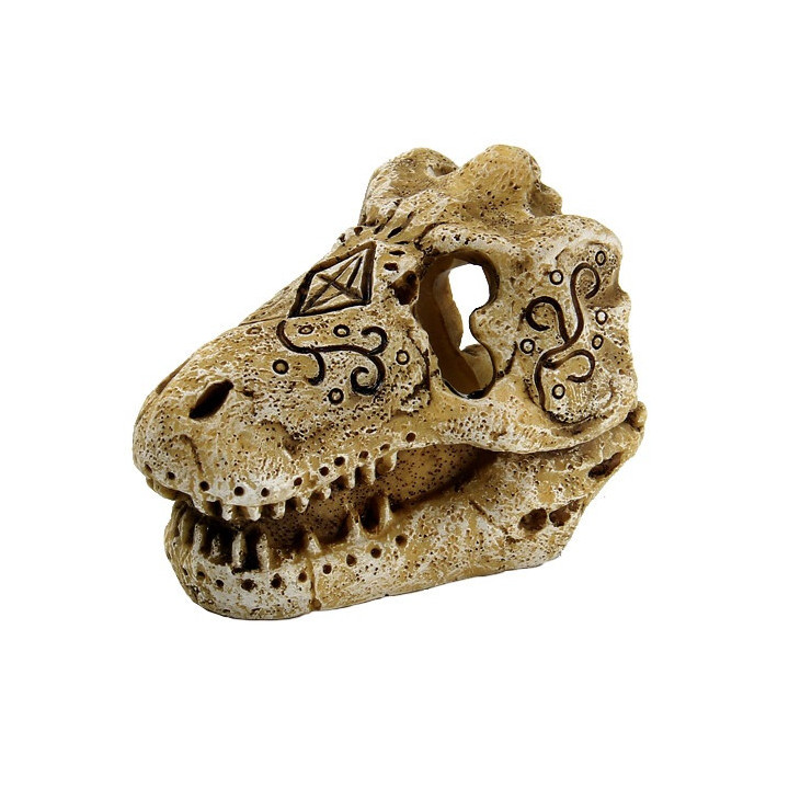 SUPERFISH SKULL T REX S - SuperFish