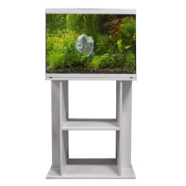 SUPERFISH STAND START 70 WHITE - SuperFish