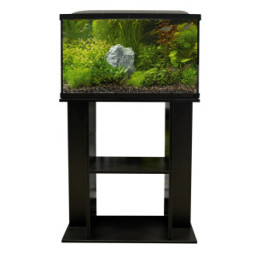 SUPERFISH STAND START 100 BLACK - SuperFish