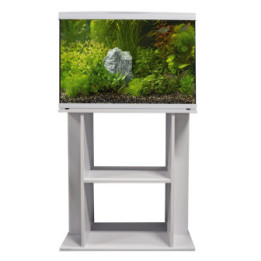 SUPERFISH STAND START 100 WHITE - SuperFish