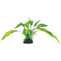 SUPERFISH ART PLANT 25CM CRYPTOCORYNE - SuperFish