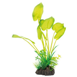 SUPERFISH ART PLANT 25CM ECHINODORUS - SuperFish