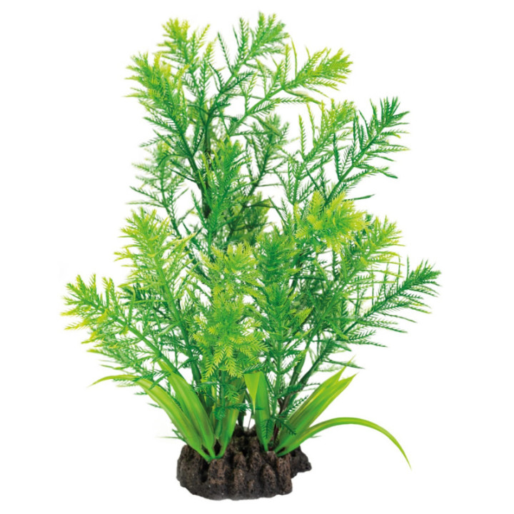 SUPERFISH ART PLANT 25CM HOTTONIA - SuperFish