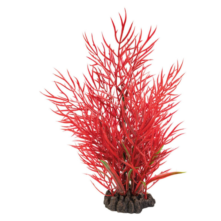 SUPERFISH ART PLANT 25CM LUDWIGIA - SuperFish