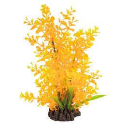 SUPERFISH ART PLANT 25CM LUDWIGIA ORANGE - SuperFish