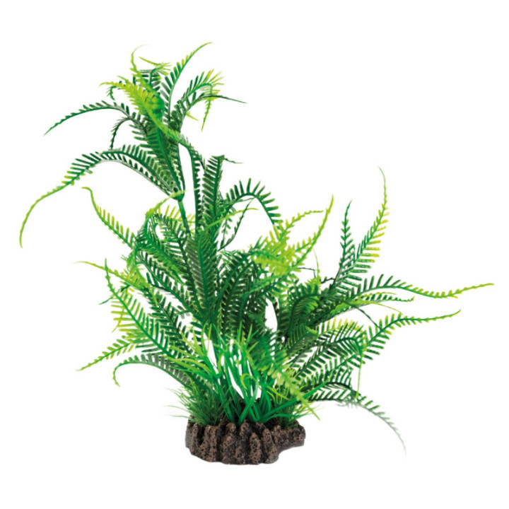 SUPERFISH ART PLANT 25CM MICROSORUM - SuperFish