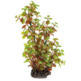 SUPERFISH ART PLANT 25CM ROTALA - SuperFish