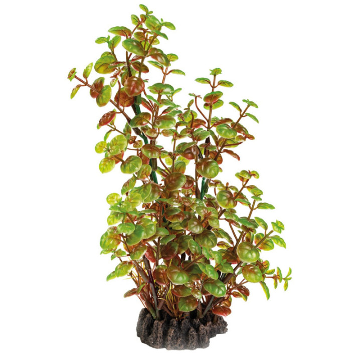 SUPERFISH ART PLANT 25CM ROTALA - SuperFish