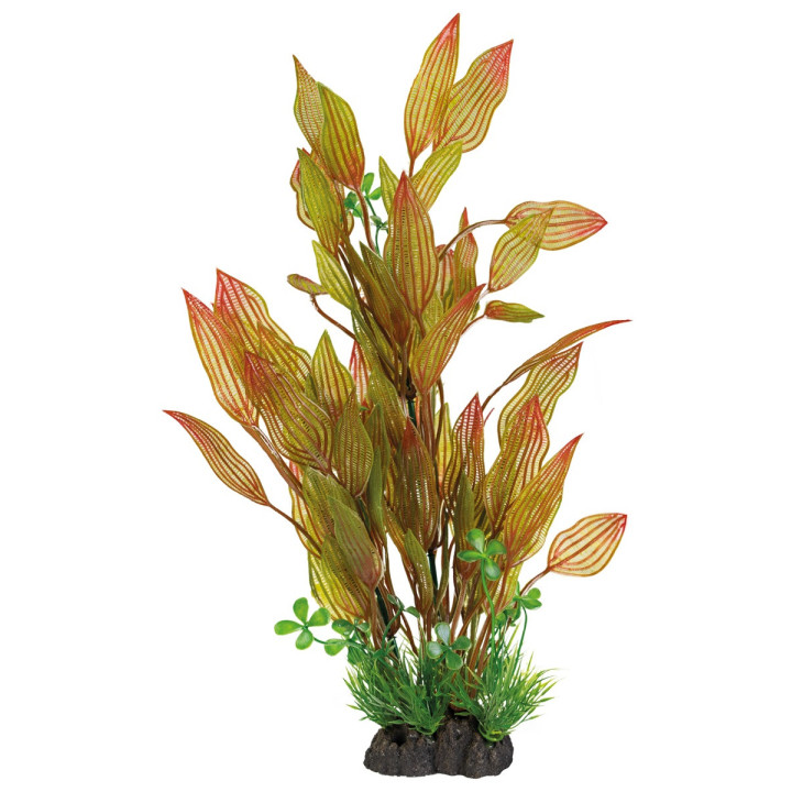 SUPERFISH ART PLANT 40CM HENKELIANUS - SuperFish