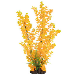 SUPERFISH ART PLANT 40CM LUDWIGIA ORANGE - SuperFish