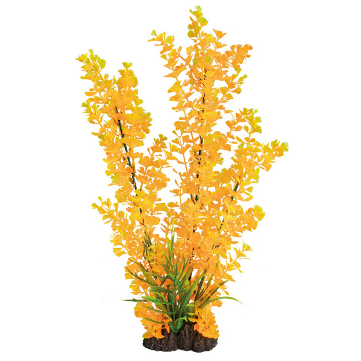SUPERFISH ART PLANT 40CM LUDWIGIA ORANGE - SuperFish