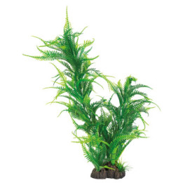 SUPERFISH ART PLANT 40CM MICROSORUM - SuperFish