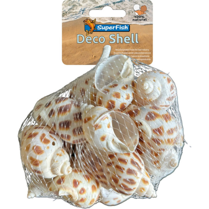 SUPERFISH DECO SHELL SPIRAL STRIPED 200GR - SuperFish