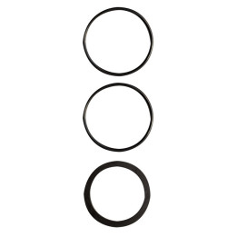 Koi Pro KOIPRO 40W HO ORING SET 3X - Koi Pro
