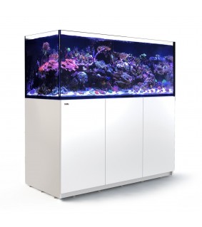 Red Sea Akvaariosetti Reefer XL 625 valkoinen