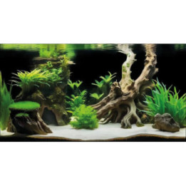 Superfish DECO POSTER G4 120X49CM - SuperFish