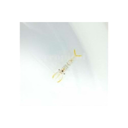 Urocaridella sp. - Scissor Tail Shrimp