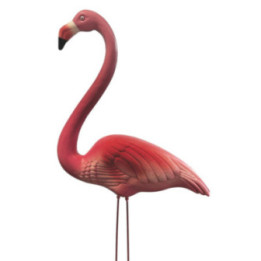 Superfish BIRD FLAMINGO S - SuperFish