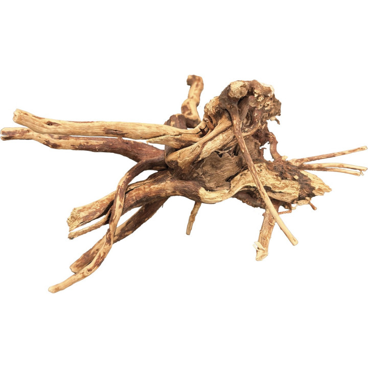BioArt BIOART SPIDER WOOD 10-15 CM - BioArt