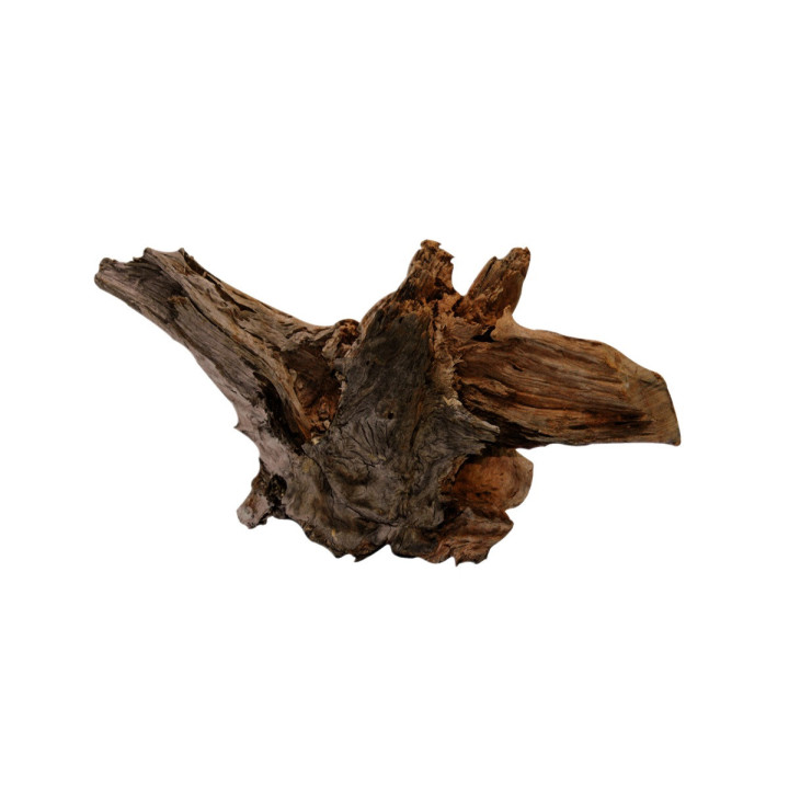 DRIFTWOOD L -